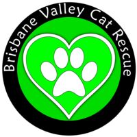 BVCR Thumbnail
